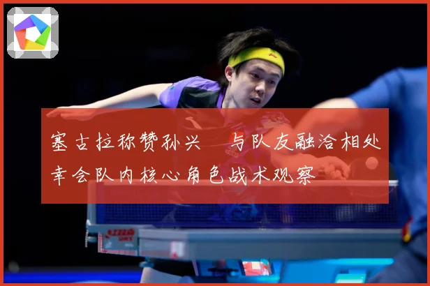 塞古拉称赞孙兴慜与队友融洽相处幸会队内核心角色战术观察
