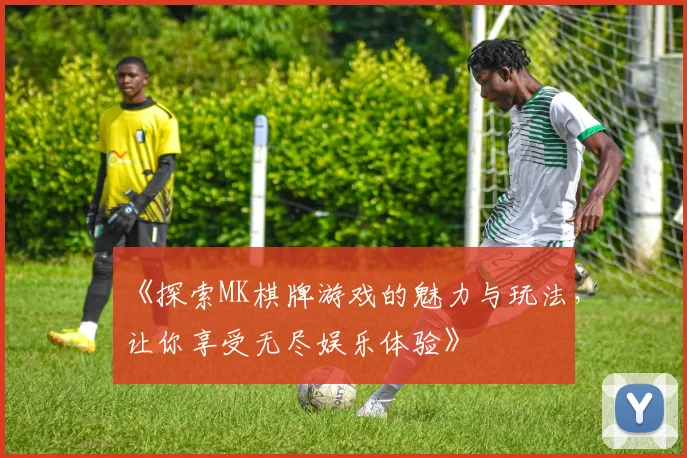 《探索MK棋牌游戏的魅力与玩法，让你享受无尽娱乐体验》