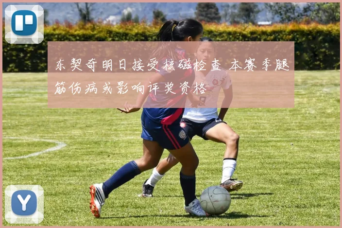东契奇明日接受核磁检查 本赛季腿筋伤病或影响评奖资格