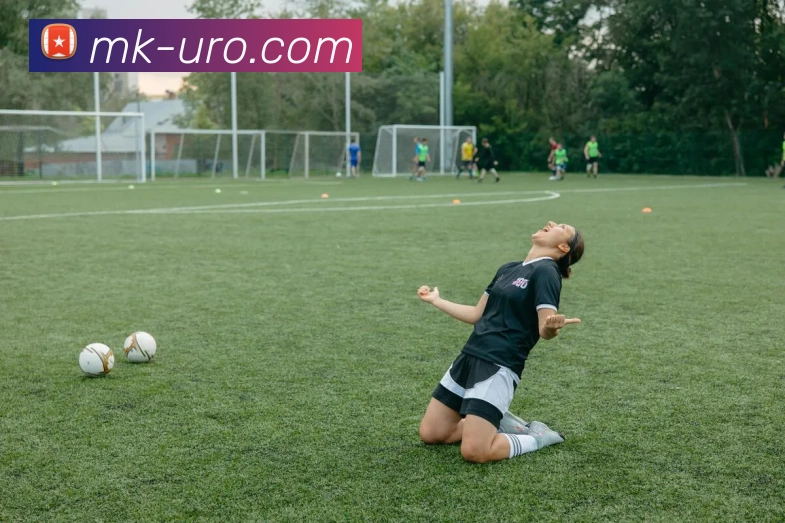 MK体育平台展示图